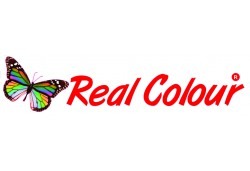 REAL COLOR 0451XLC CARTRIDGE